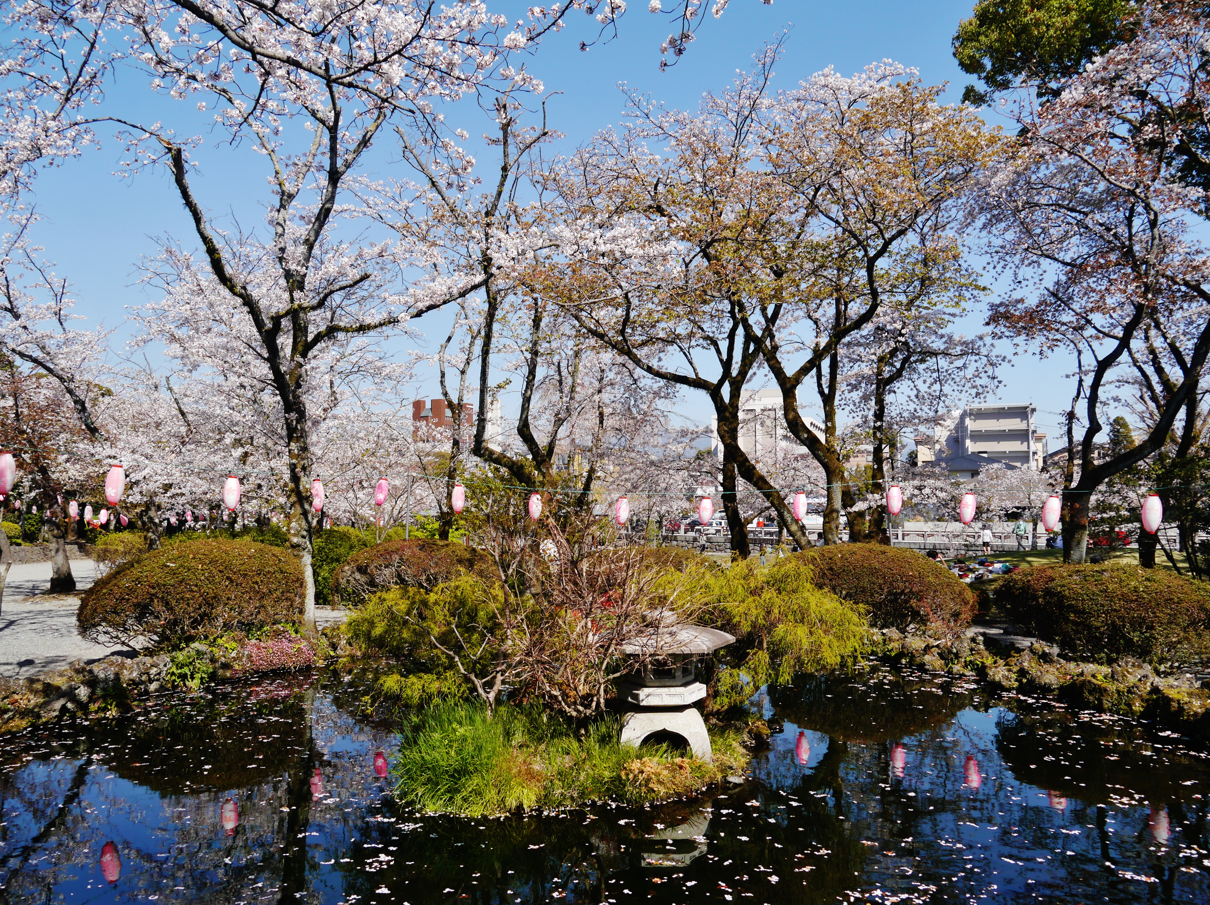 富士山本宮浅間大社
