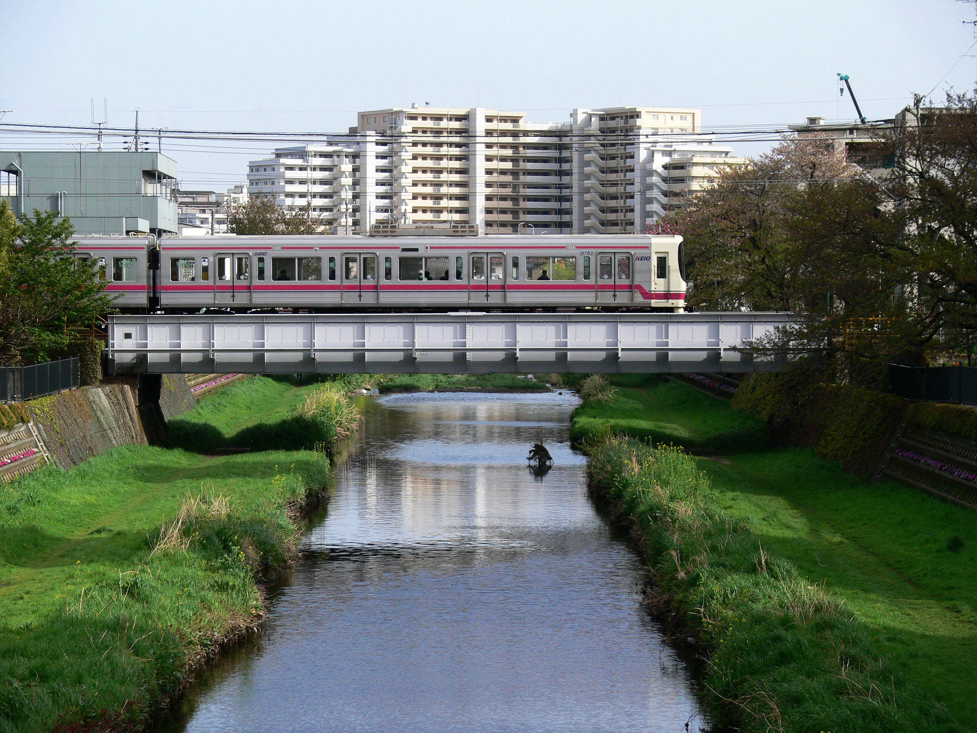 いろは坂（石畳の坂道）