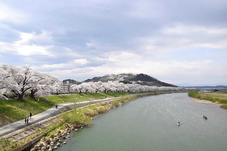 白石川堤一目千本桜