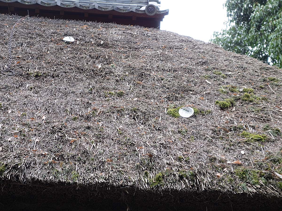 伊賀流忍者博物館