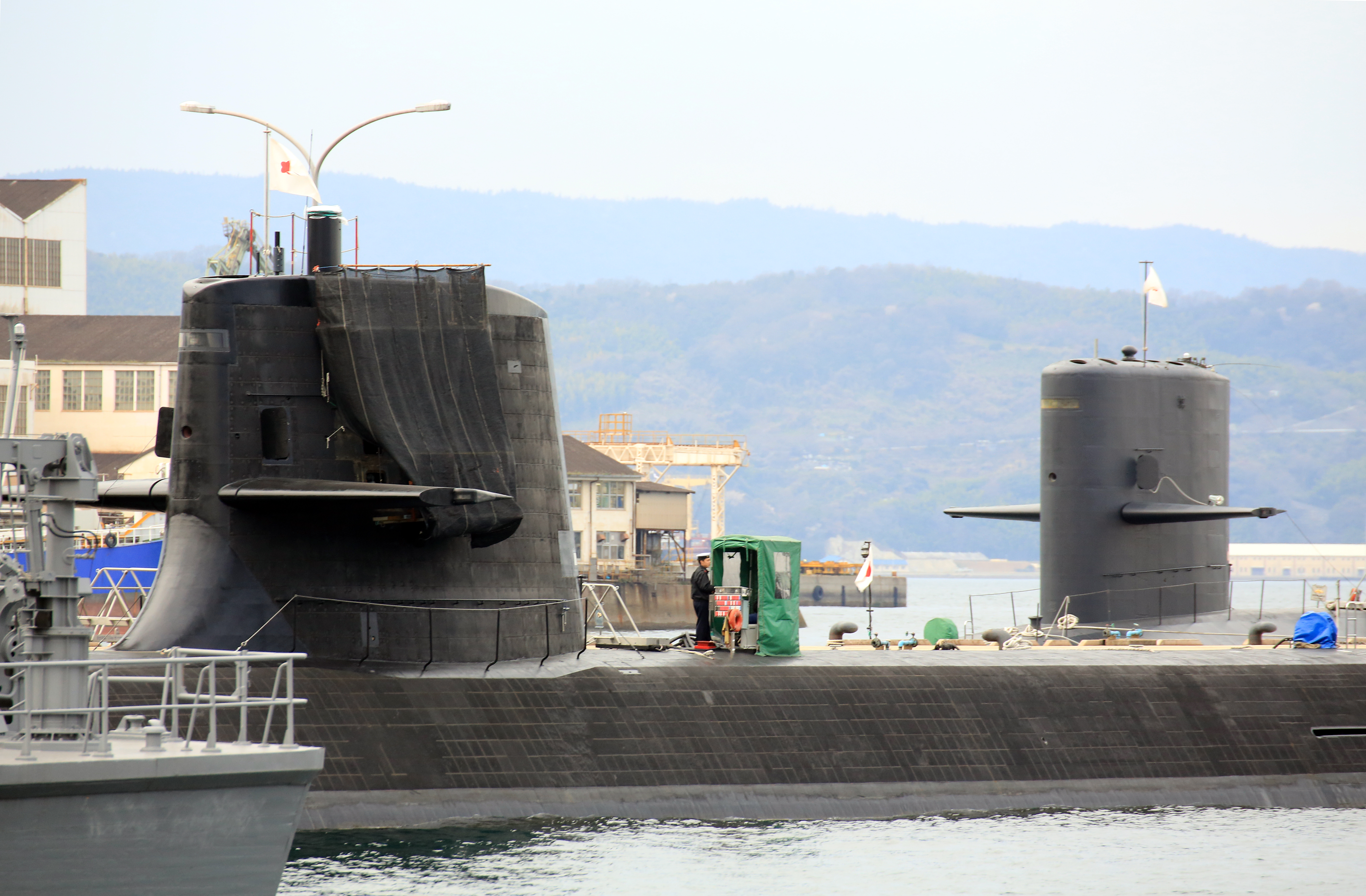 アレイからすこじま