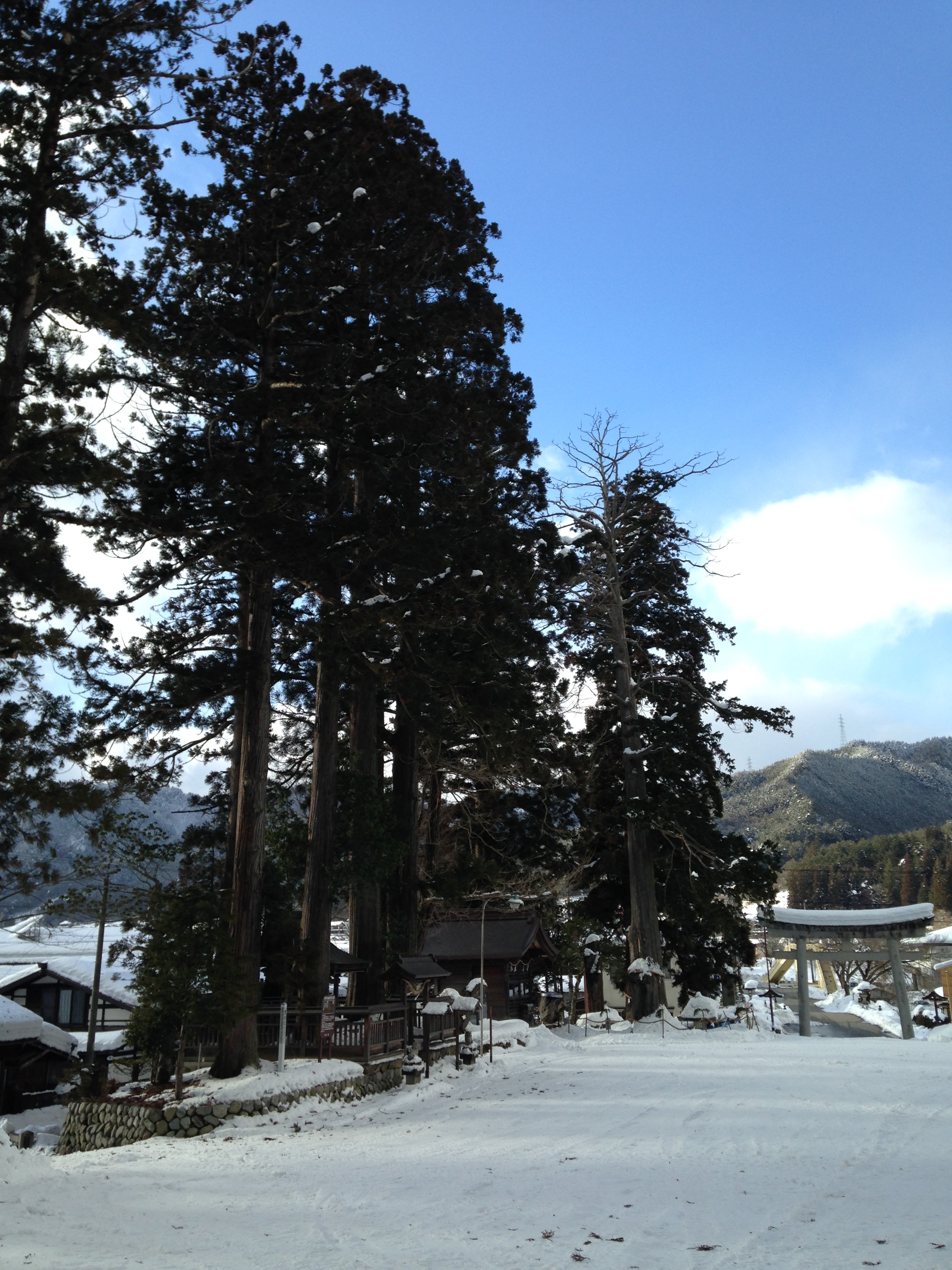 飛騨一ノ宮水無神社