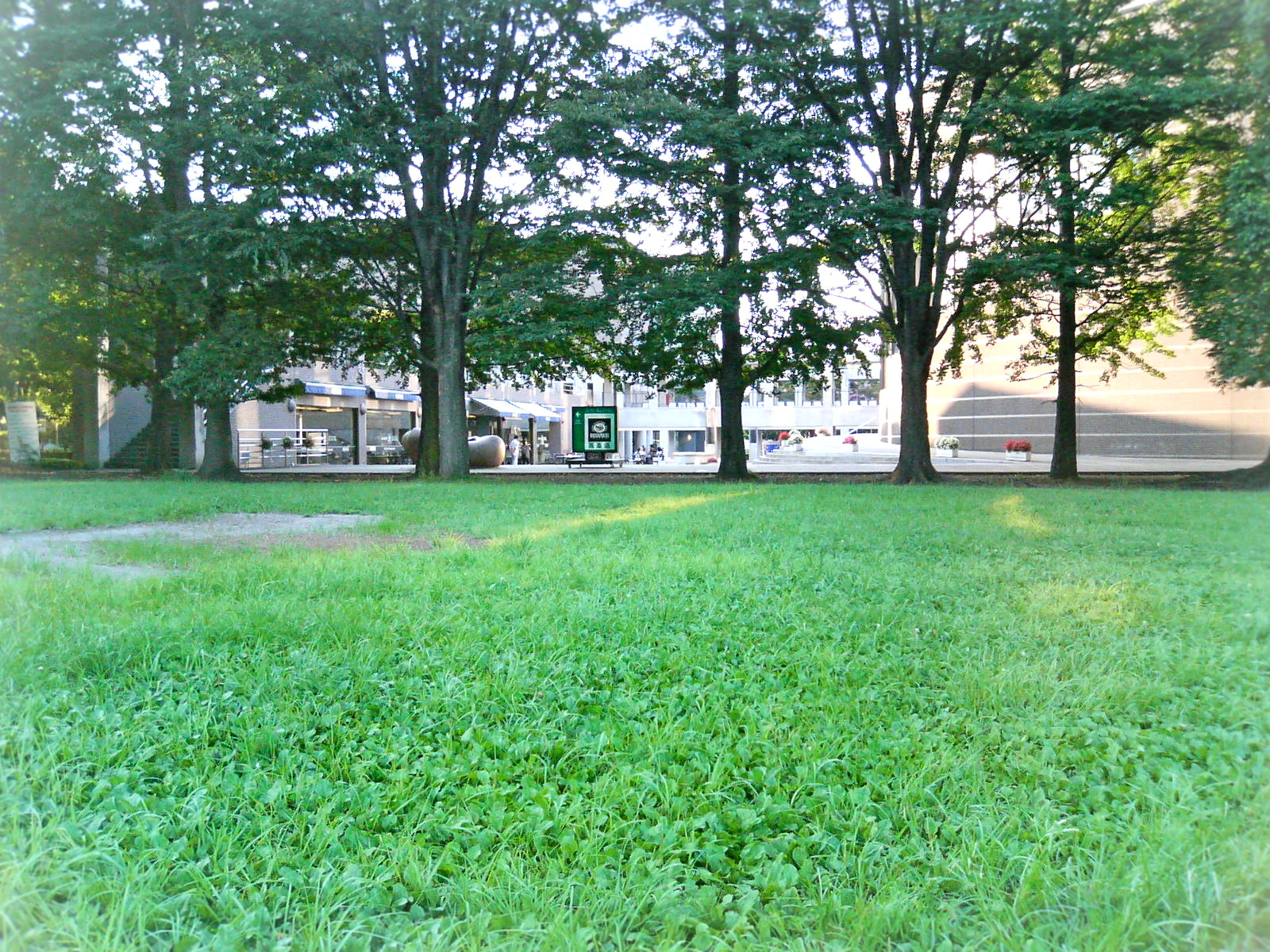 所沢航空記念公園