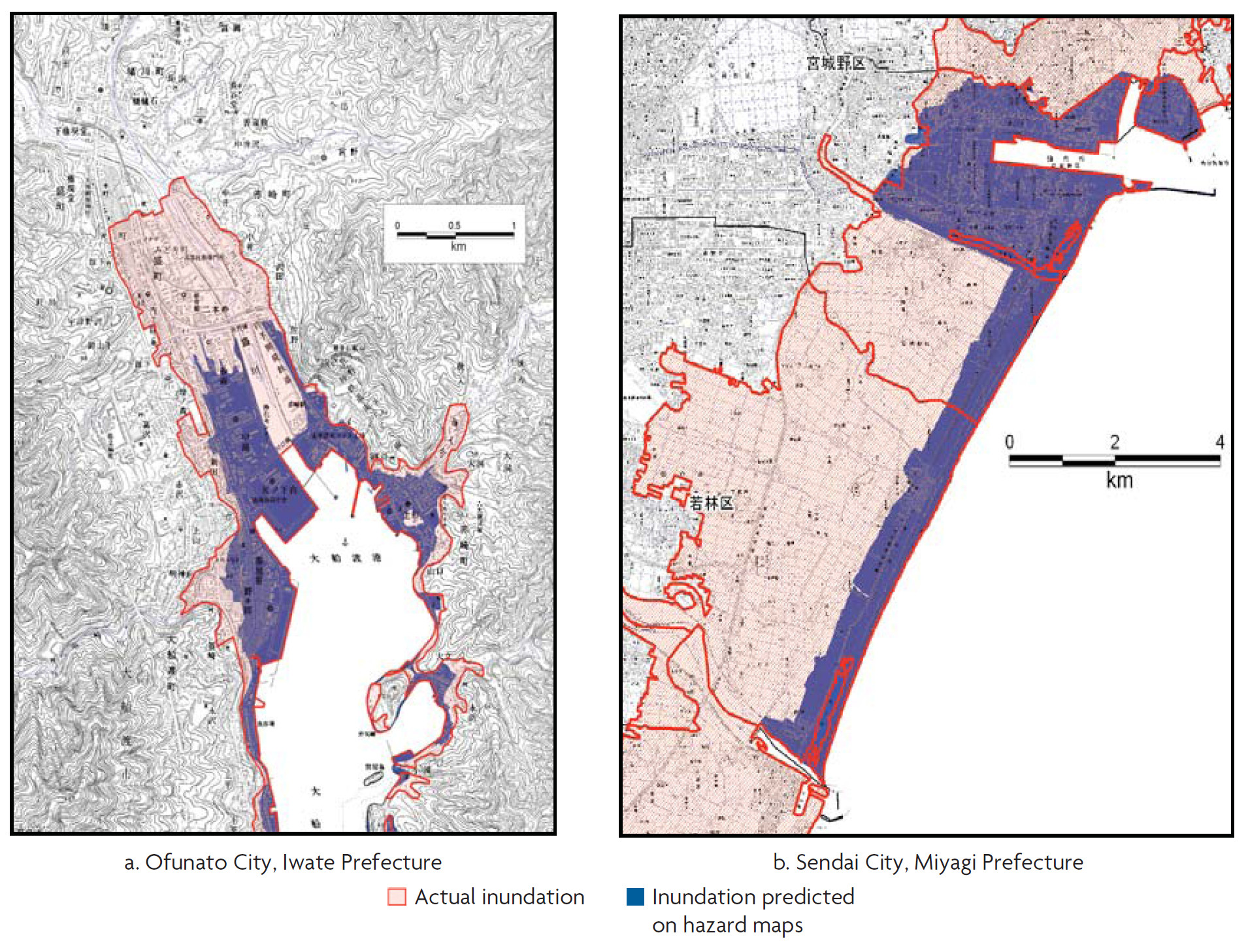 東北（岩手県沿岸部）