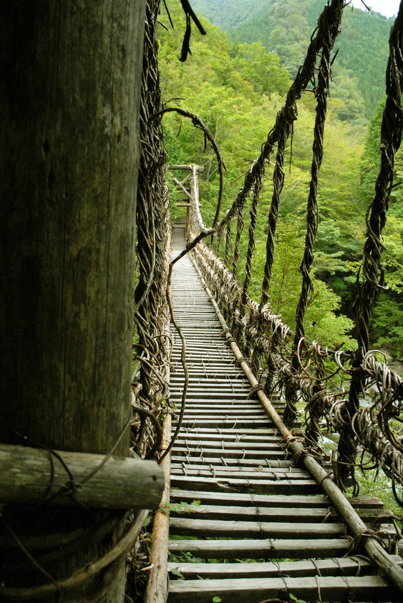 奥祖谷二重かずら橋