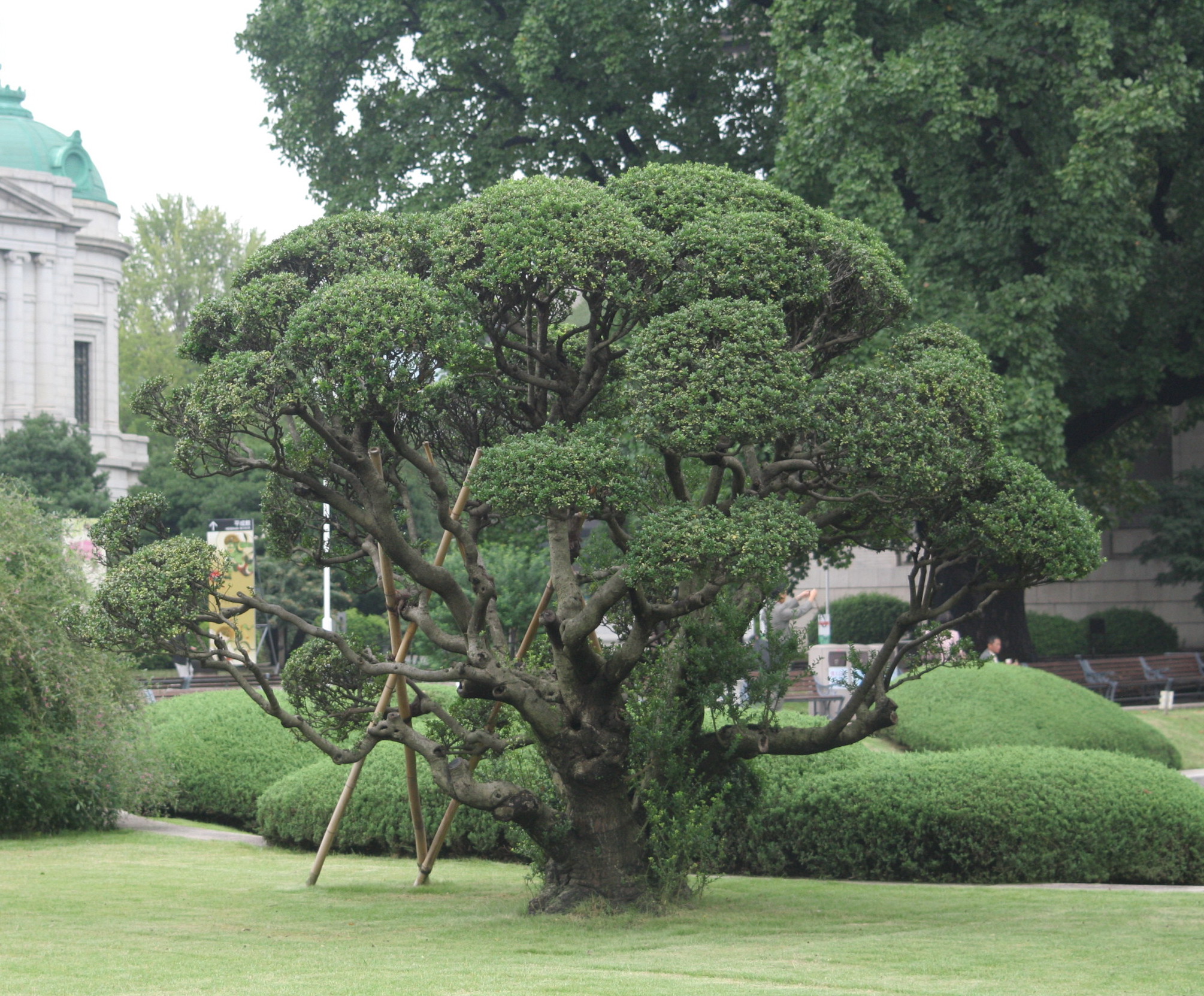 東京国立博物館