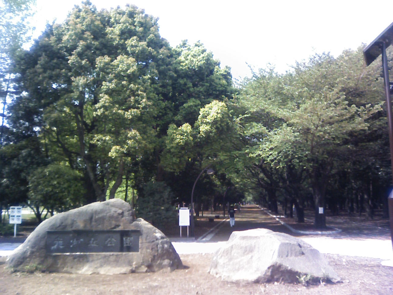 光が丘公園