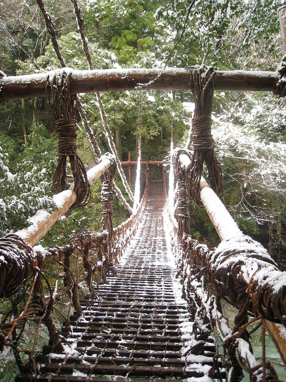 祖谷のかずら橋