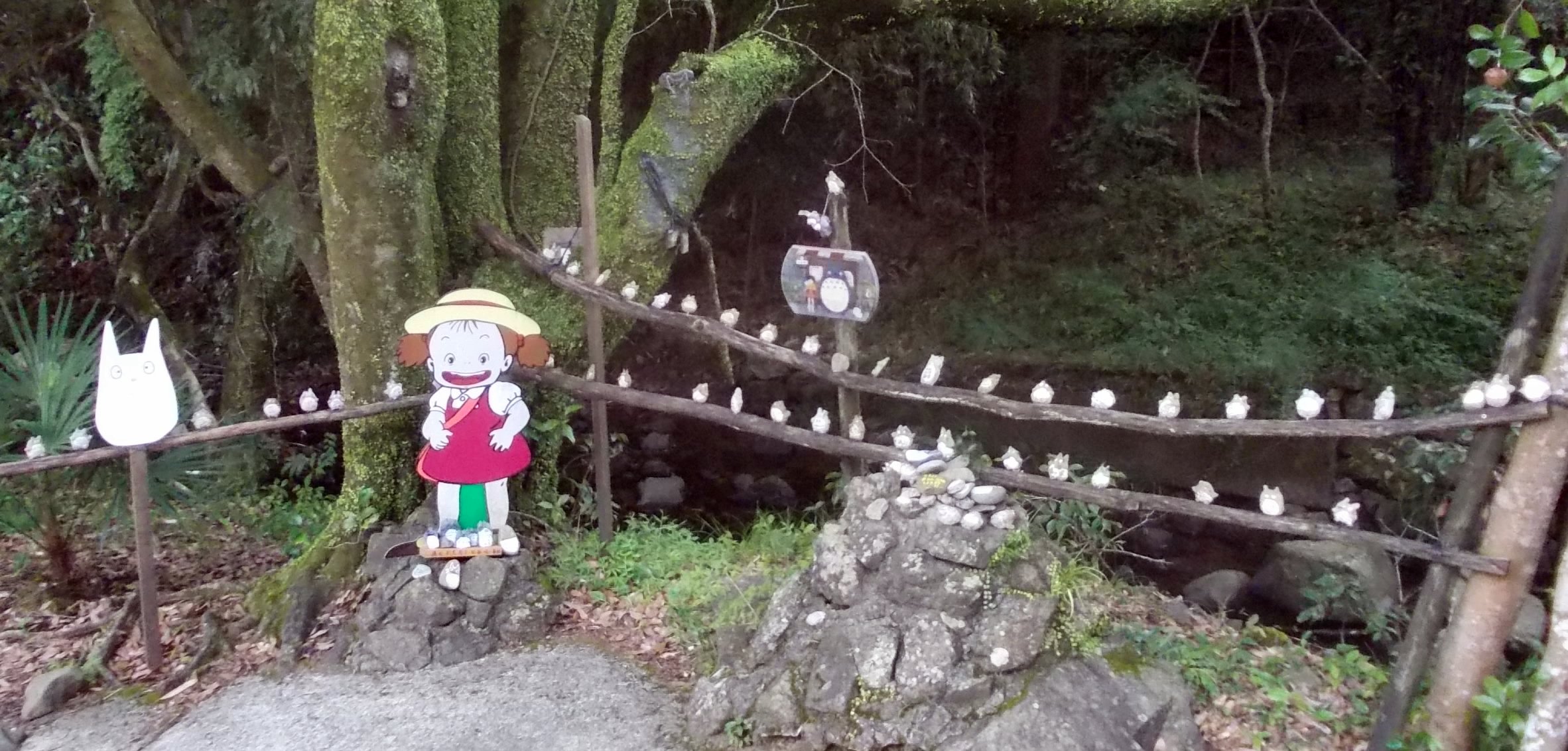 狭山丘陵・トトロの森