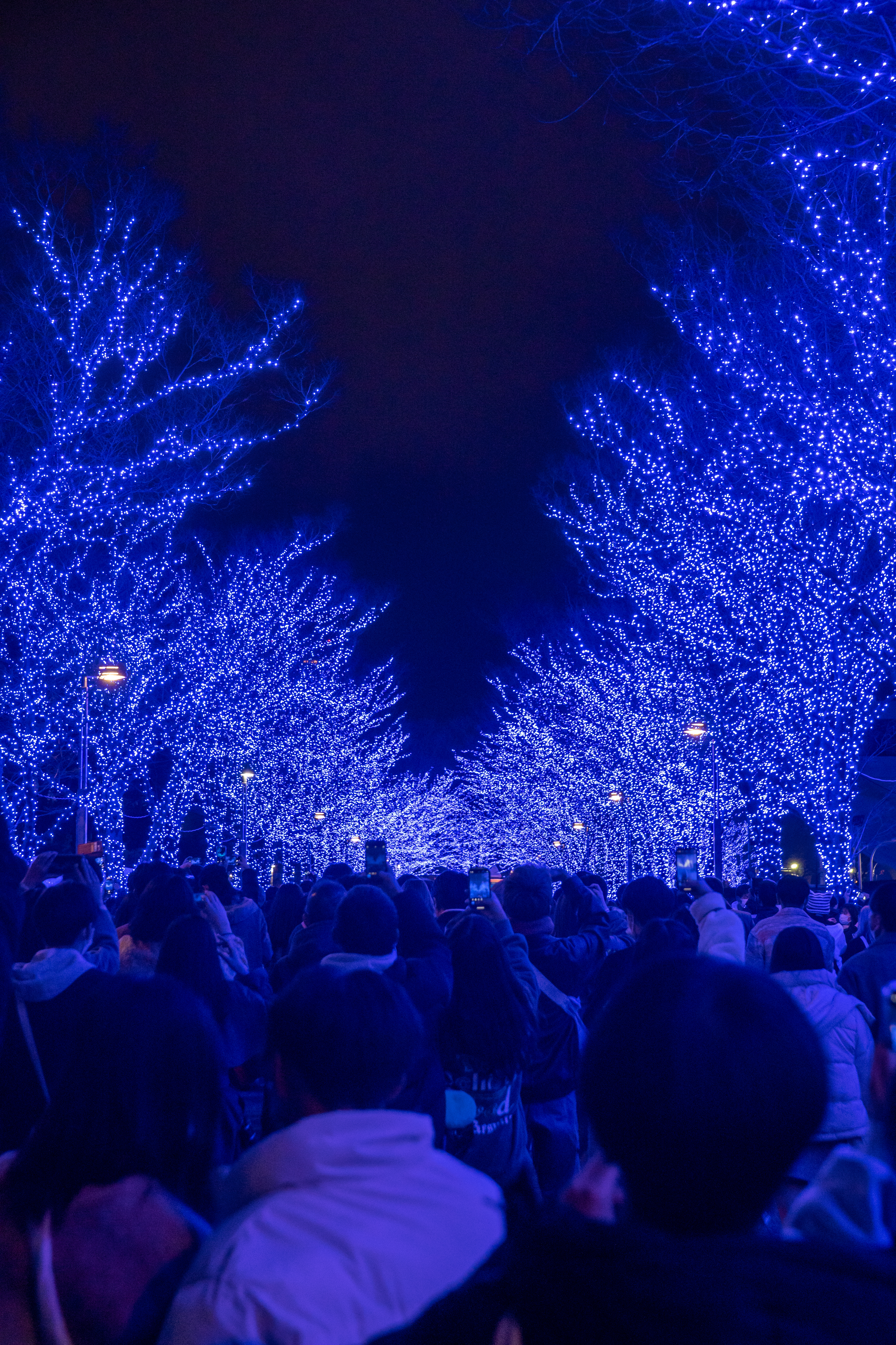 青の洞窟（沖縄）